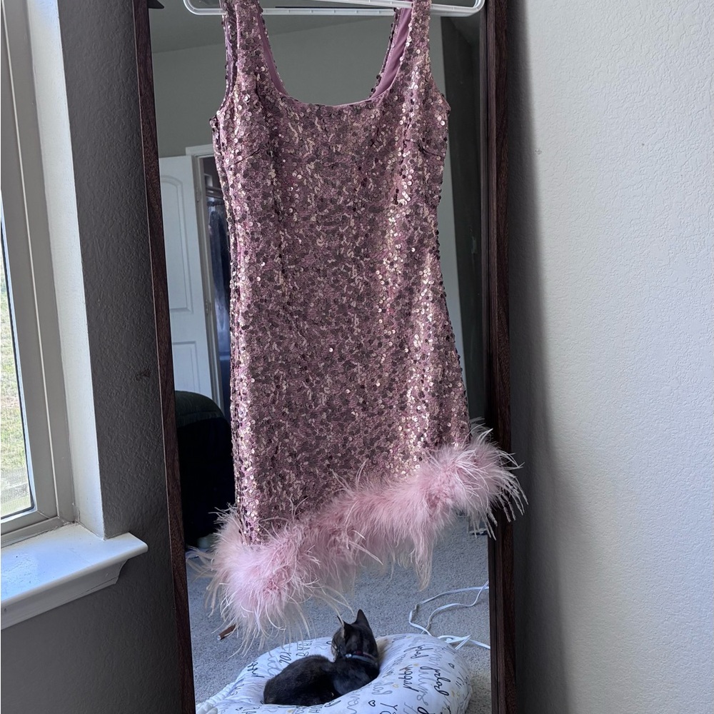 Windsor Blush Sequin Dress with Feather Detail